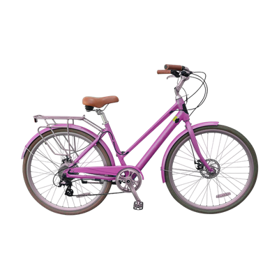 دوچرخه شهر برقی زنان