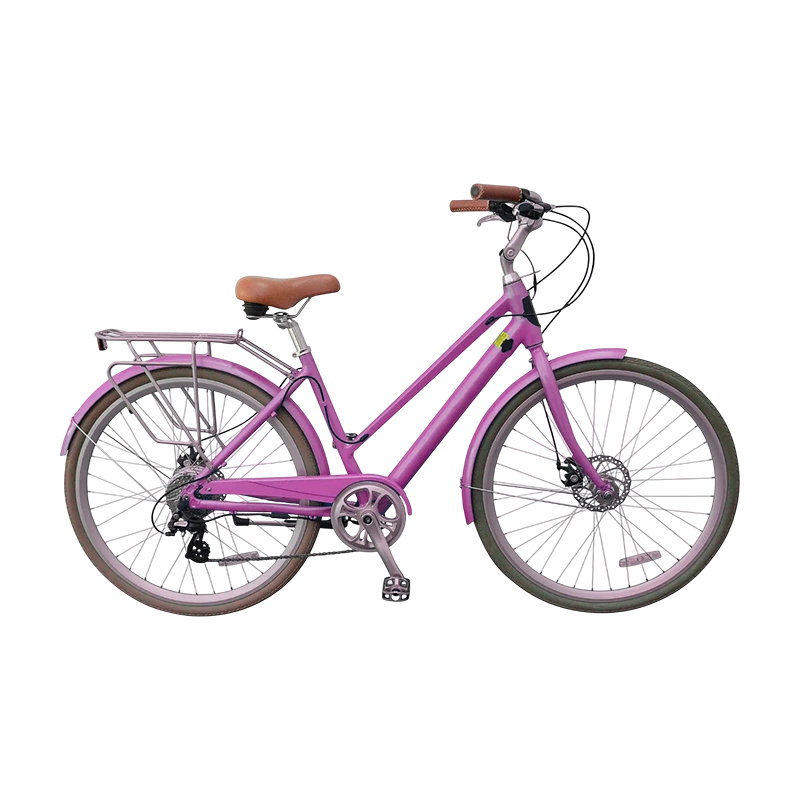 Women's Electric City Bike